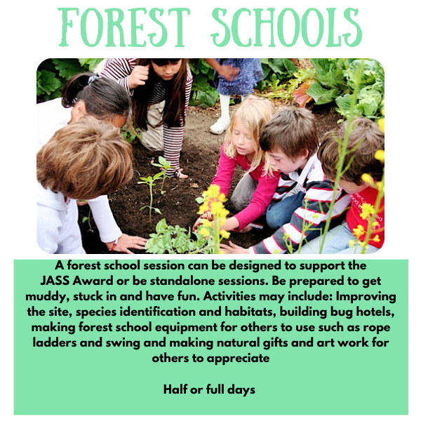 About Forest Schools HAF